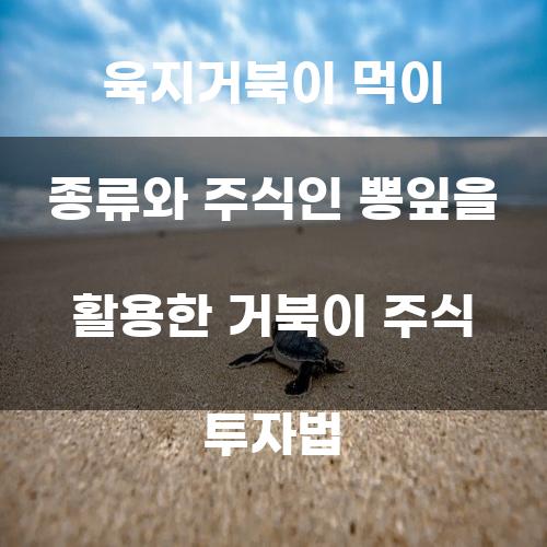 육지거북이 먹이 종류와 주식인 뽕잎을 활용한 거북이 주식 투자법