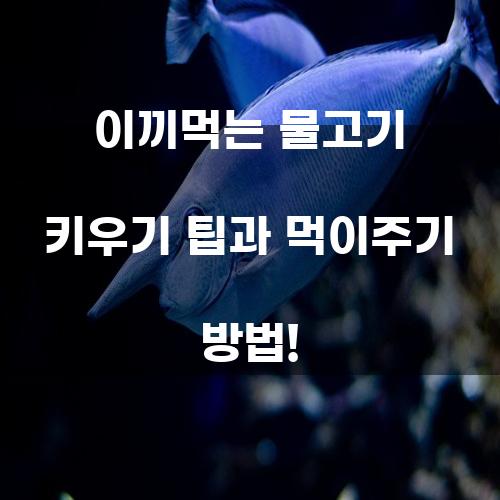 이끼먹는 물고기 키우기 팁과 먹이주기 방법!