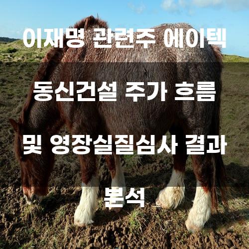 이재명 관련주 에이텍 동신건설 주가 분석