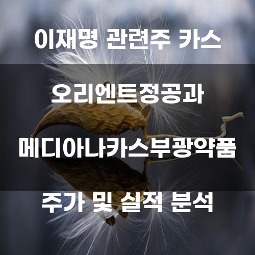 이재명 관련주 카스 오리엔트정공과 메디아나카스부광약품 주가 및 실적 분석
