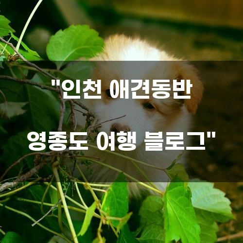 인천 애견동반 영종도 여행 블로그