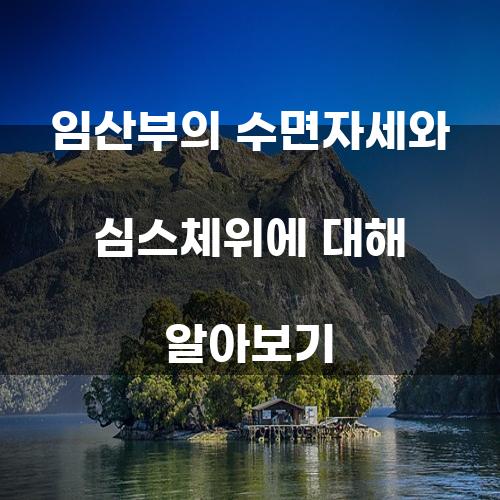 임산부의 수면자세와 심스체위에 대해 알아보기