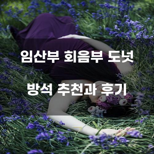 임산부 회음부 도넛 방석 추천과 후기