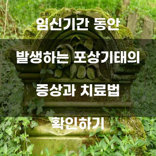 임신기간 동안 발생하는 포상기태의 증상과 치료법 확인하기