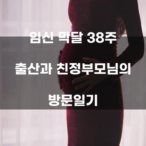 임신 막달 38주 출산과 친정부모님의 방문일기
