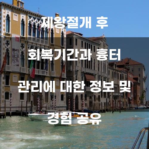 제왕절개 후 회복기간과 흉터 관리에 대한 정보 및 경험 공유