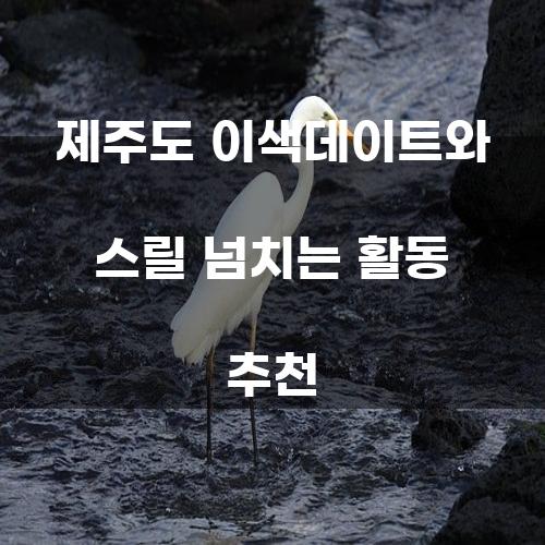 제주도 이색데이트 및 스릴 넘치는 활동 추천