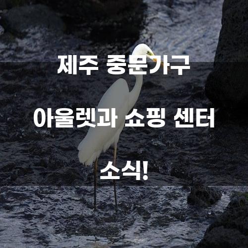 제주 중문가구 아울렛과 쇼핑 센터 소식!