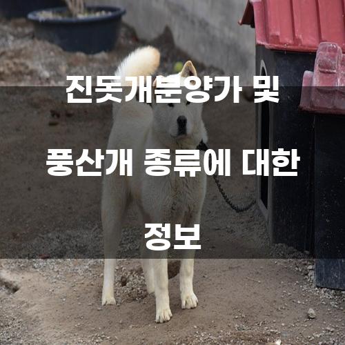 진돗개분양가 및 풍산개 종류에 대한 정보