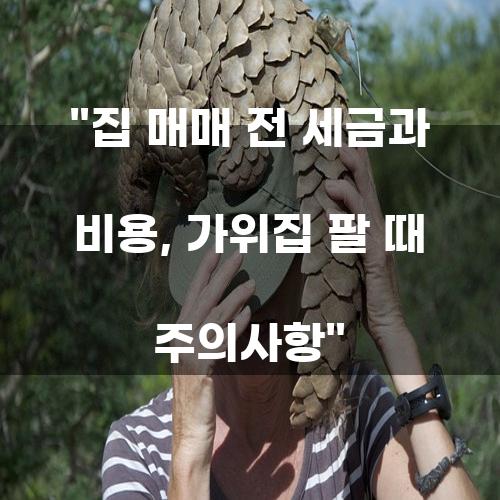 집 매매 전 세금과 비용, 가위집 팔 때 주의사항