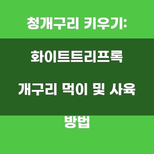청개구리 키우기: 화이트 트리프록 개구리 먹이 및 사육 방법