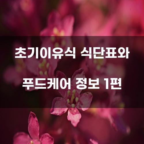 초기이유식 식단표와 푸드케어 정보 1편