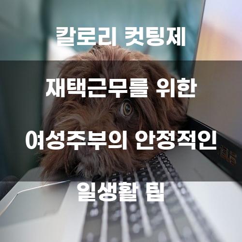 여성주부를 위한 칼로리 컷팅제 재택근무 팁