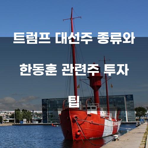 트럼프 대선주 종류와 한동훈 관련주 투자 팁
