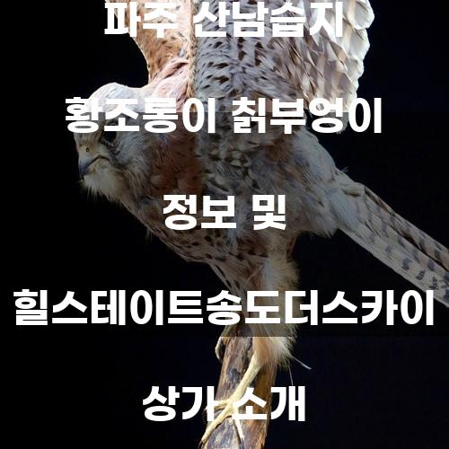 파주 산남습지 황조롱이 칡부엉이 정보