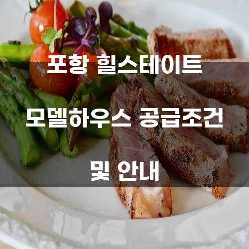 포항 힐스테이트 모델하우스 공급조건 및 안내