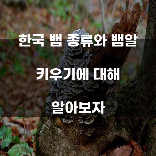 한국 뱀 종류와 뱀알 키우기