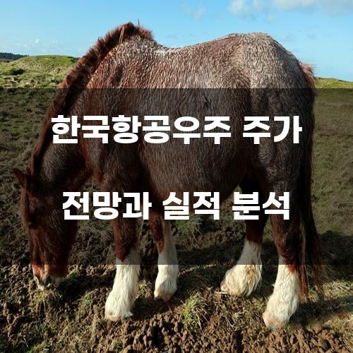 한국항공우주 주가 전망과 실적 분석