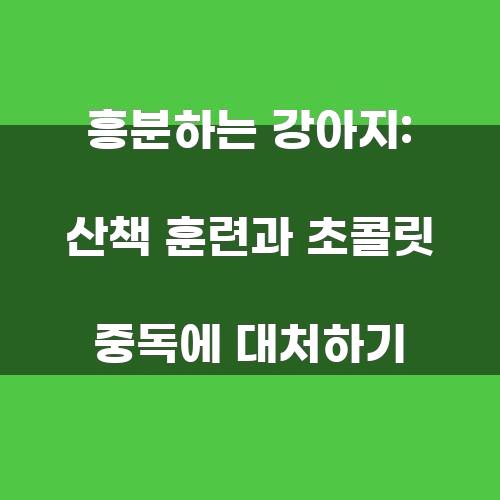 흥분하는 강아지: 산책 훈련과 초콜릿 중독에 대처하기