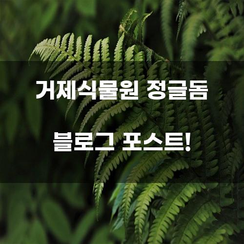 거제식물원 정글돔 블로그 포스트