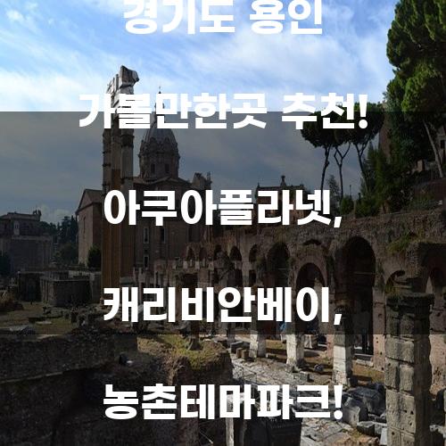 경기도 용인 가볼만한곳 추천!