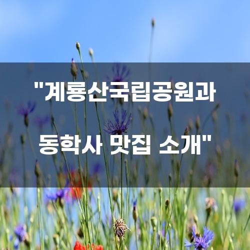 계룡산국립공원과 동학사 맛집 소개