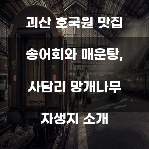 괴산 호국원 맛집 송어회와 매운탕