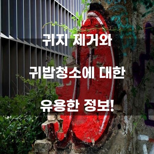 귀지 제거와 귀밥청소에 대한 유용한 정보!