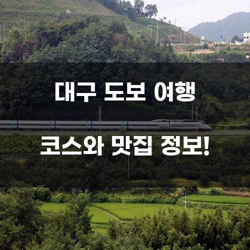 대구 도보 여행 코스 및 맛집 정보