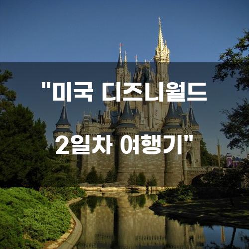 미국 디즈니월드 2일차 여행기
