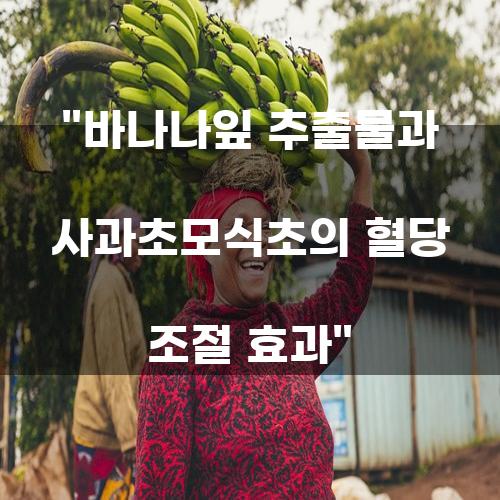바나나잎 추출물과 사과초모식초의 혈당 조절 효과