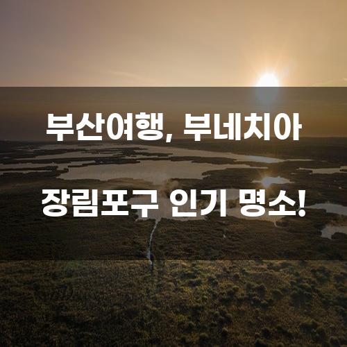 부산여행: 부네치아 장림포구 인기 명소