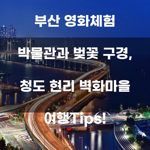 부산 영화체험 박물관과 벚꽃 구경