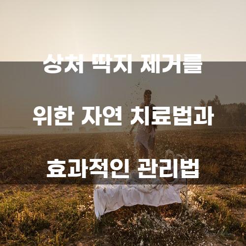 상처 딱지 제거를 위한 자연 치료법과 효과적인 관리법