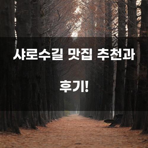 샤로수길 맛집 추천과 후기!