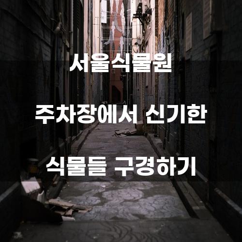 서울식물원 주차장에서 신기한 식물들 구경하기