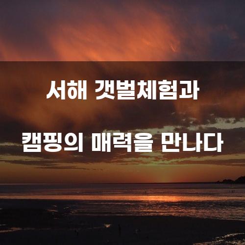 서해 갯벌체험과 캠핑의 매력을 만나다