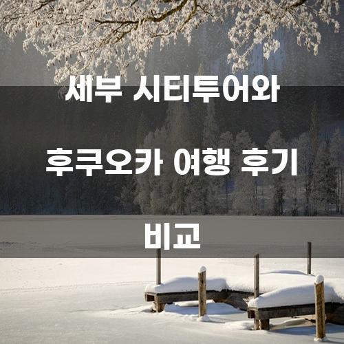 세부 시티투어와 후쿠오카 여행 후기 비교