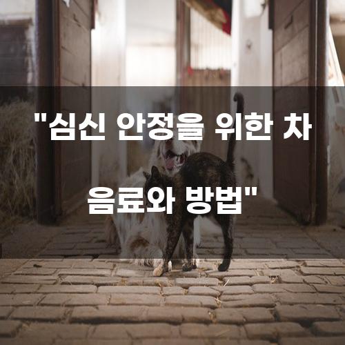 차 음료와 방법을 통한 심신 안정