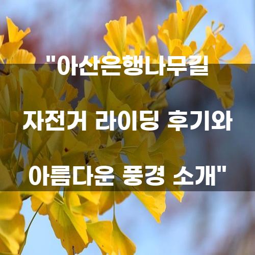 아산은행나무길 자전거 라이딩 후기와 아름다운 풍경 소개