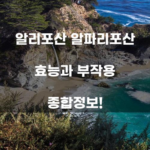 알리포산 알파리포산 효능과 부작용 종합정보