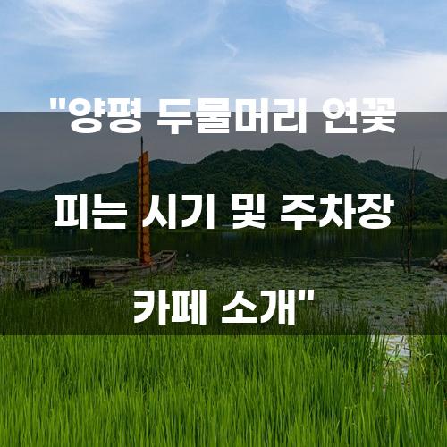 양평 두물머리 연꽃 피는 시기 및 주차장 카페 소개