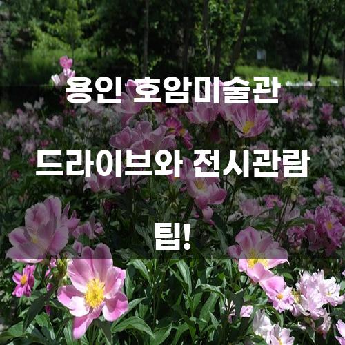 용인 호암미술관 드라이브와 전시관람 팁!