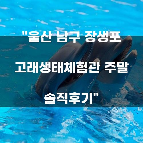 울산 남구 장생포 고래생태체험관 주말 솔직후기