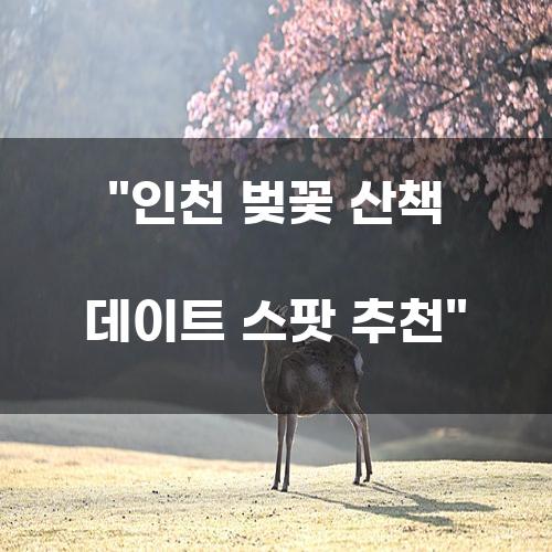 인천 벚꽃 산책 데이트 스팟 추천