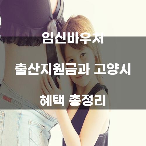 임신바우처 출산지원금과 고양시 혜택 총정리