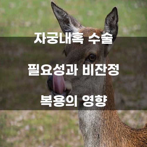 자궁내혹 수술 필요성과 비잔정 복용의 영향