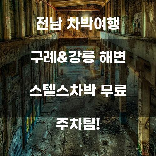 전남 차박여행 구례&강릉 해변 스텔스차박 무료 주차팁!
