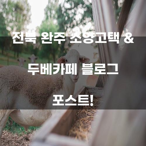 전북 완주 소양고택 & 두베카페 블로그 포스트