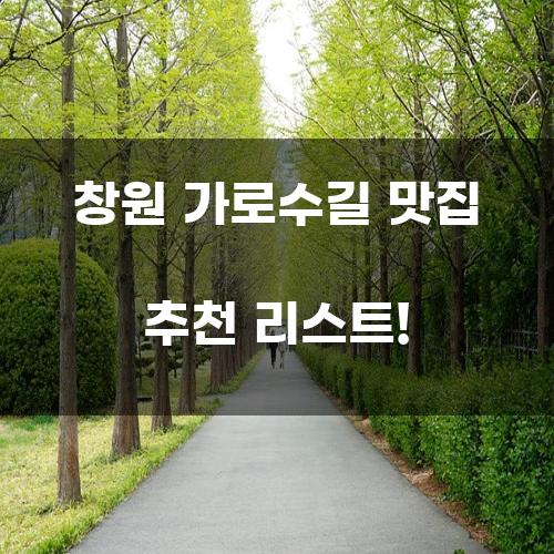 창원 가로수길 맛집 추천 리스트!